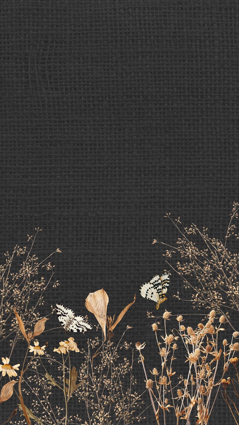 wallpaper aesthetic