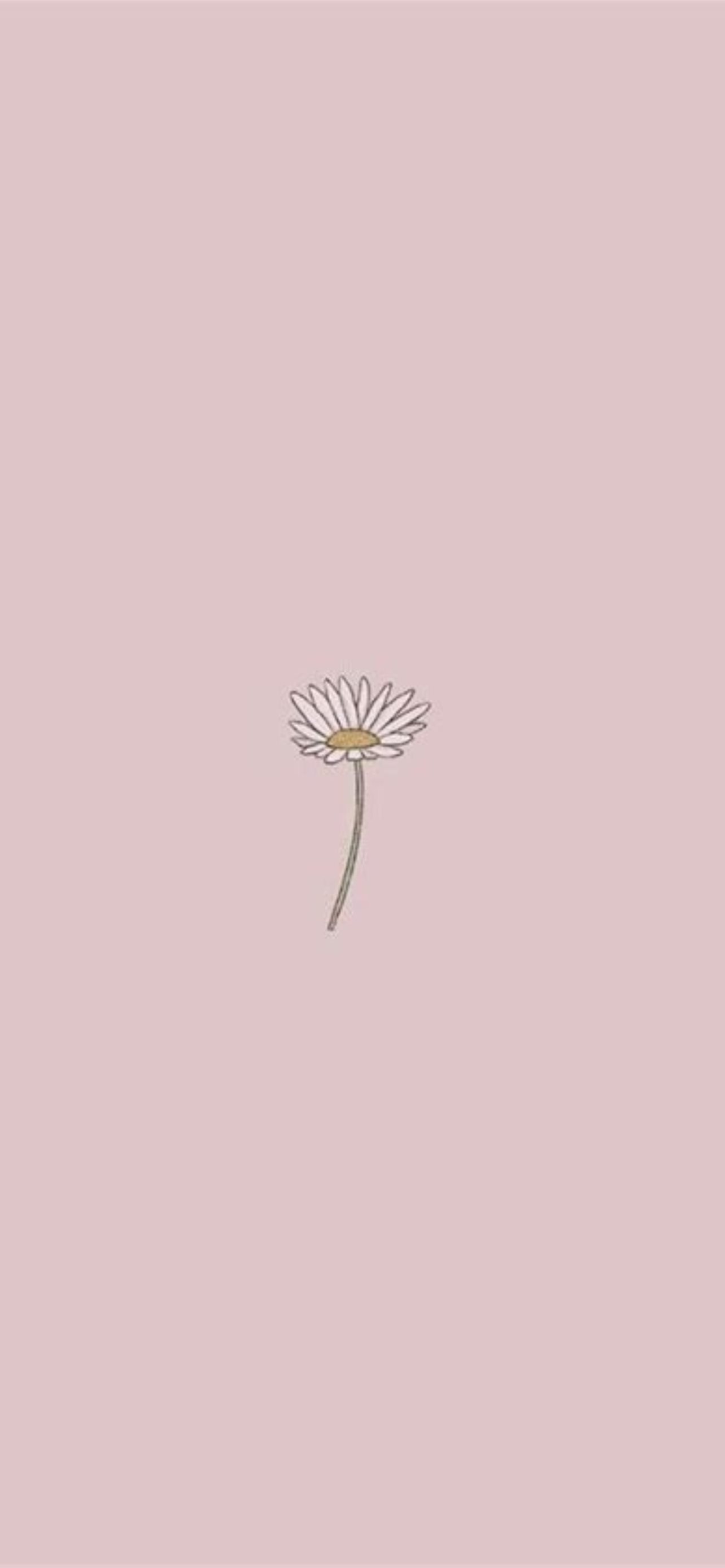wallpaper aesthetic