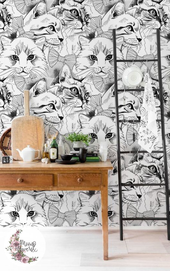 wallpaper de gato fofo vs wallpaper de gato minimalista