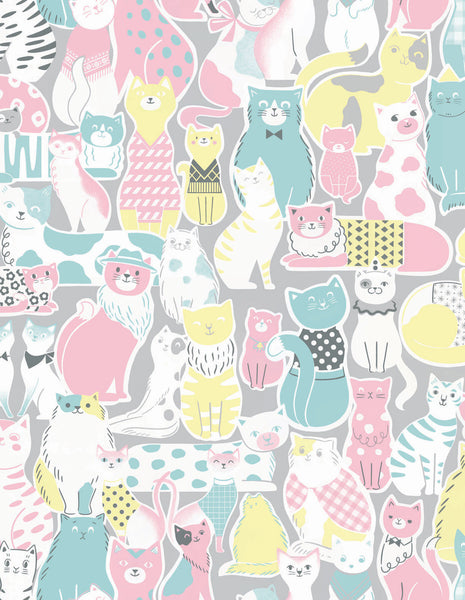 wallpaper cat