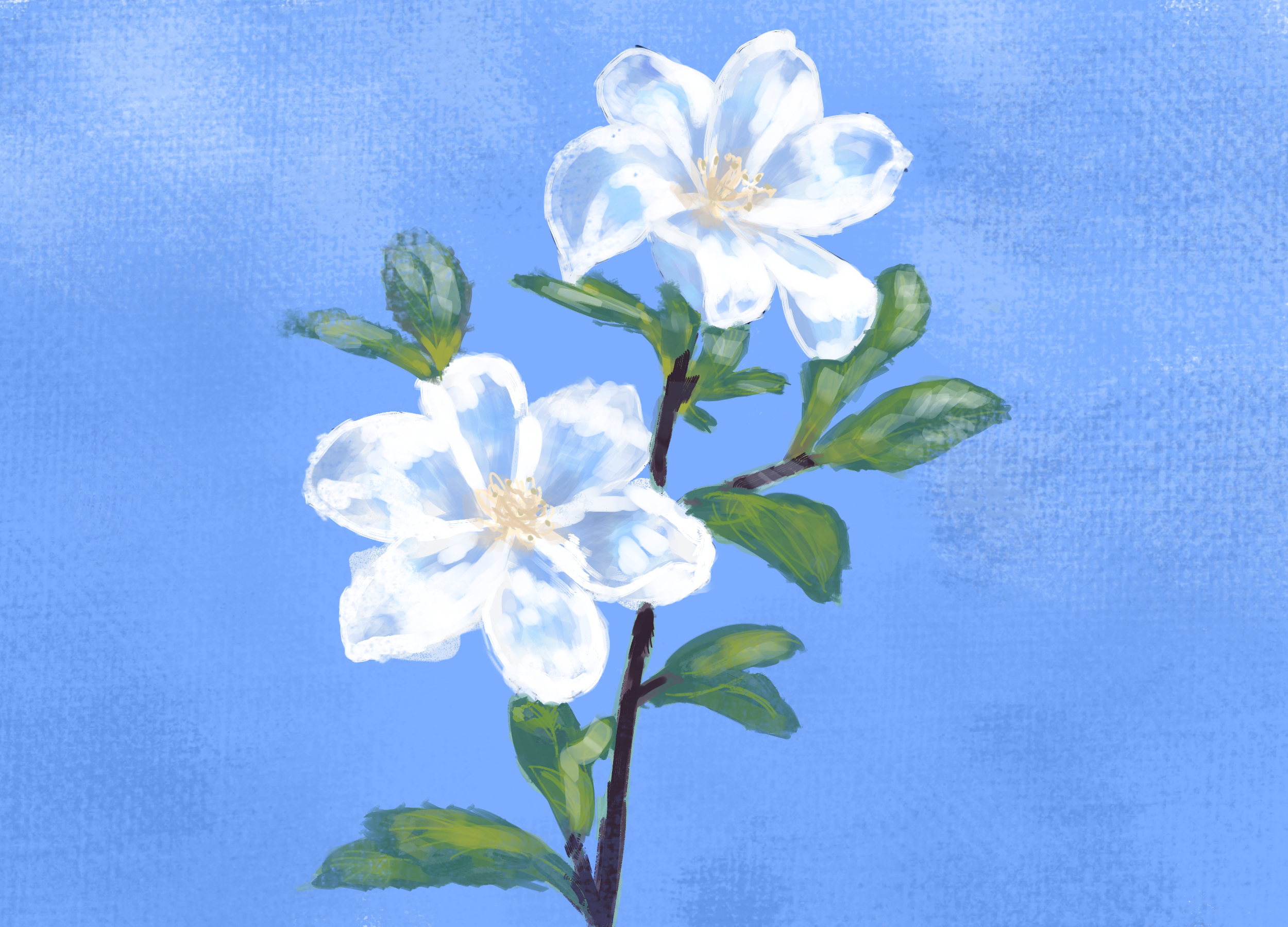 erros comuns ao escolher papel de parede flor desenho