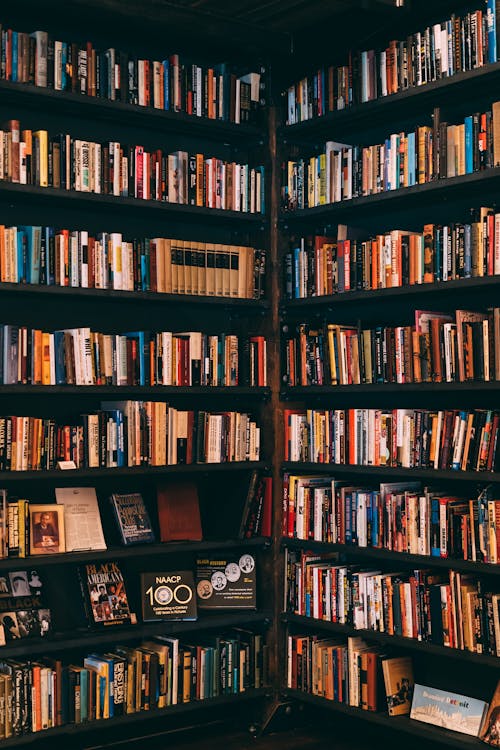 wallpaper kindle