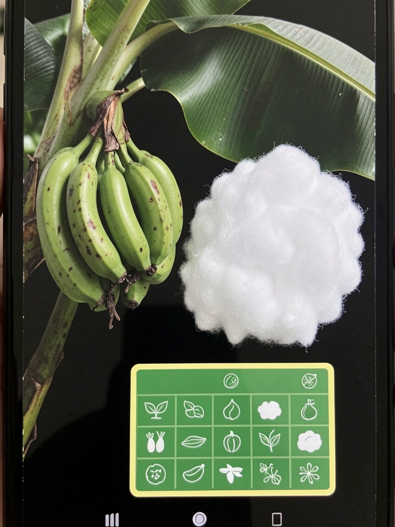 Tabela de nutrientes para bananeira com ícones de elementos químicos e plantas