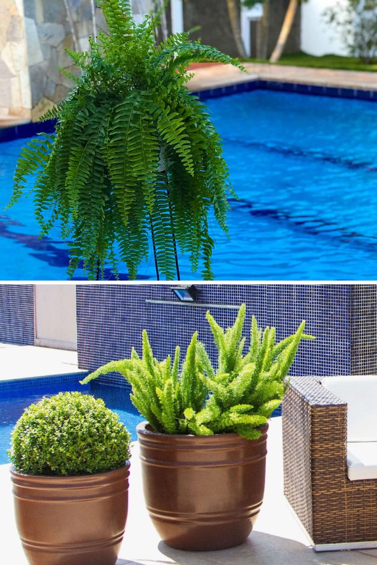 vasos reciclados para piscina