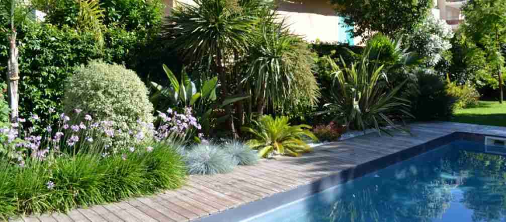 plantas resistentes ao cloro