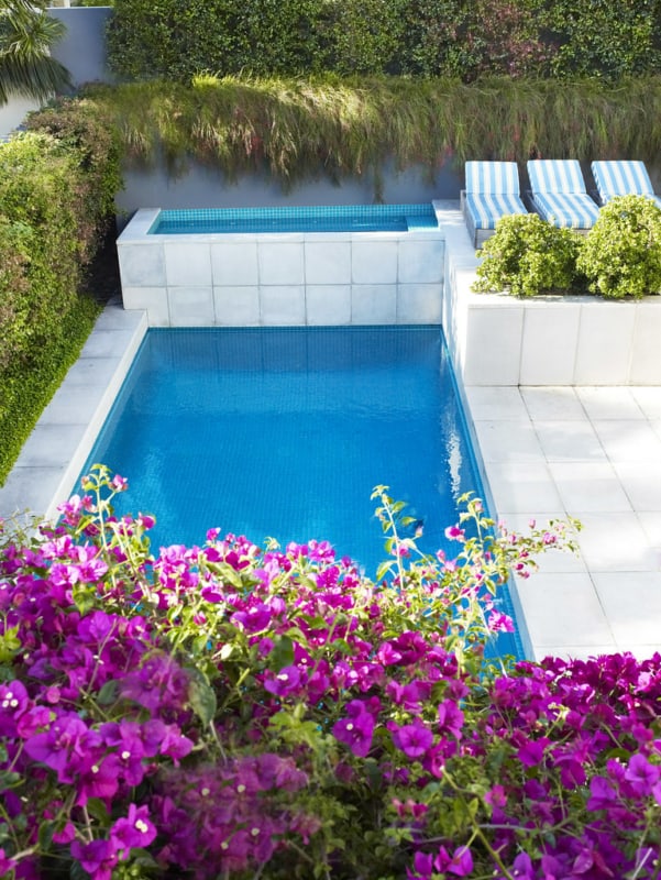 jardim vertical na piscina