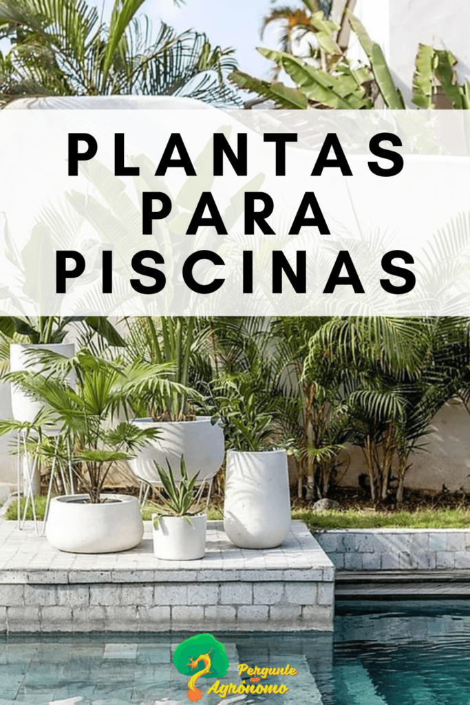 plantas resistentes ao cloro