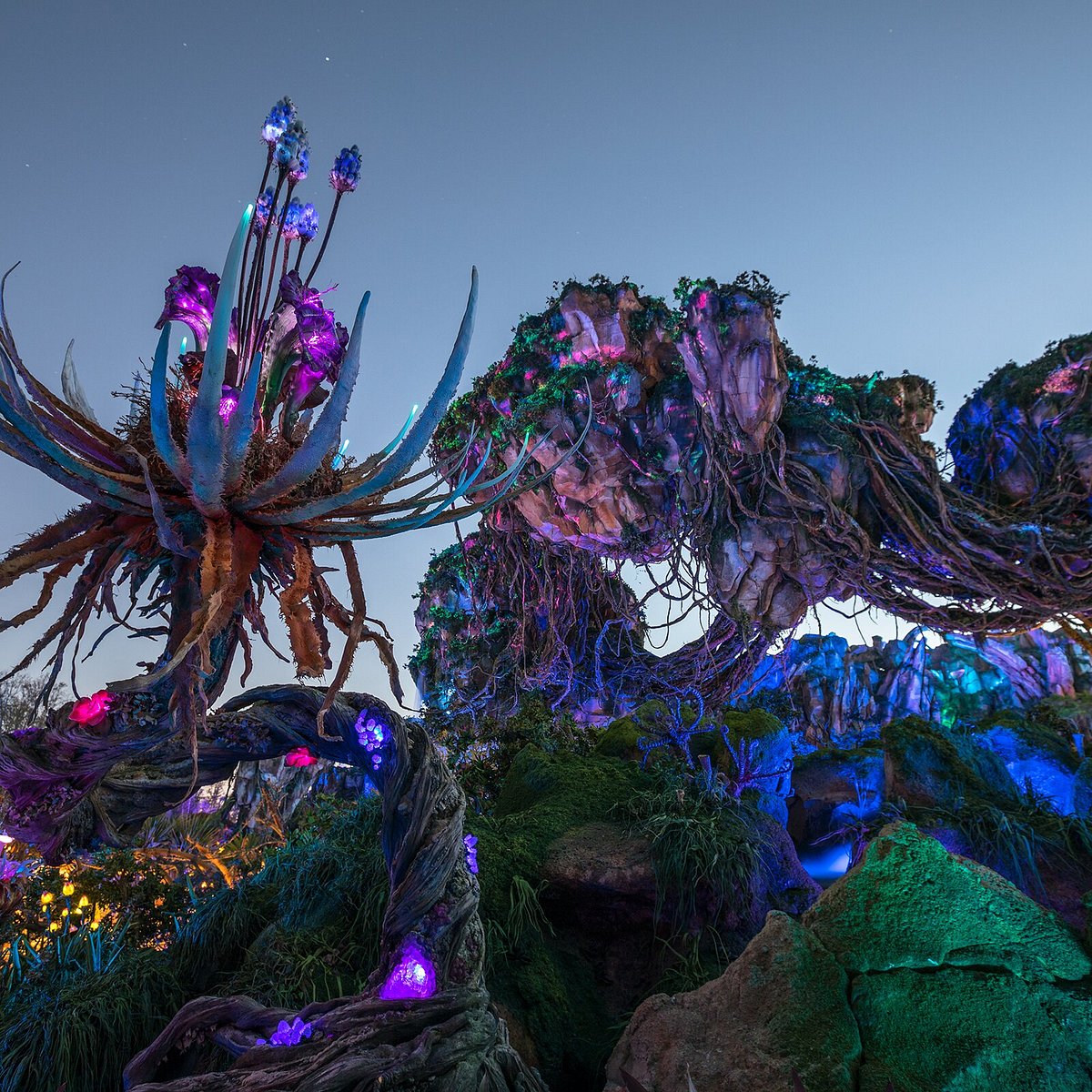 Atrações Animal Kingdom Avatar