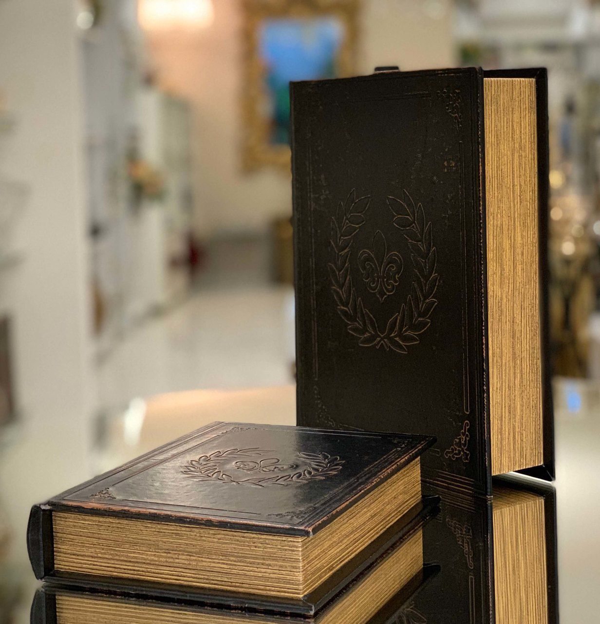 porta objetos livro