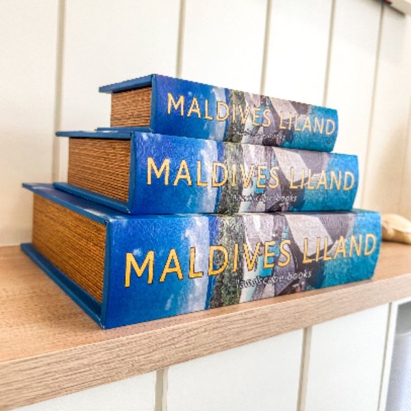 decoração com livros falsos