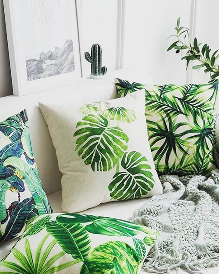 como posicionar plantas para fotos de interiores