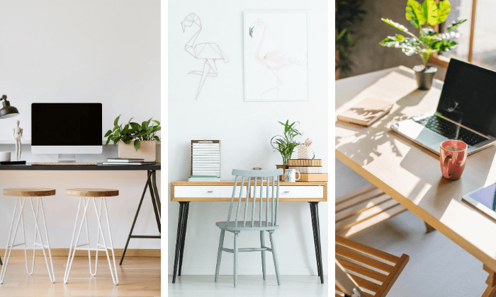 planta para mesa de trabalho feminina