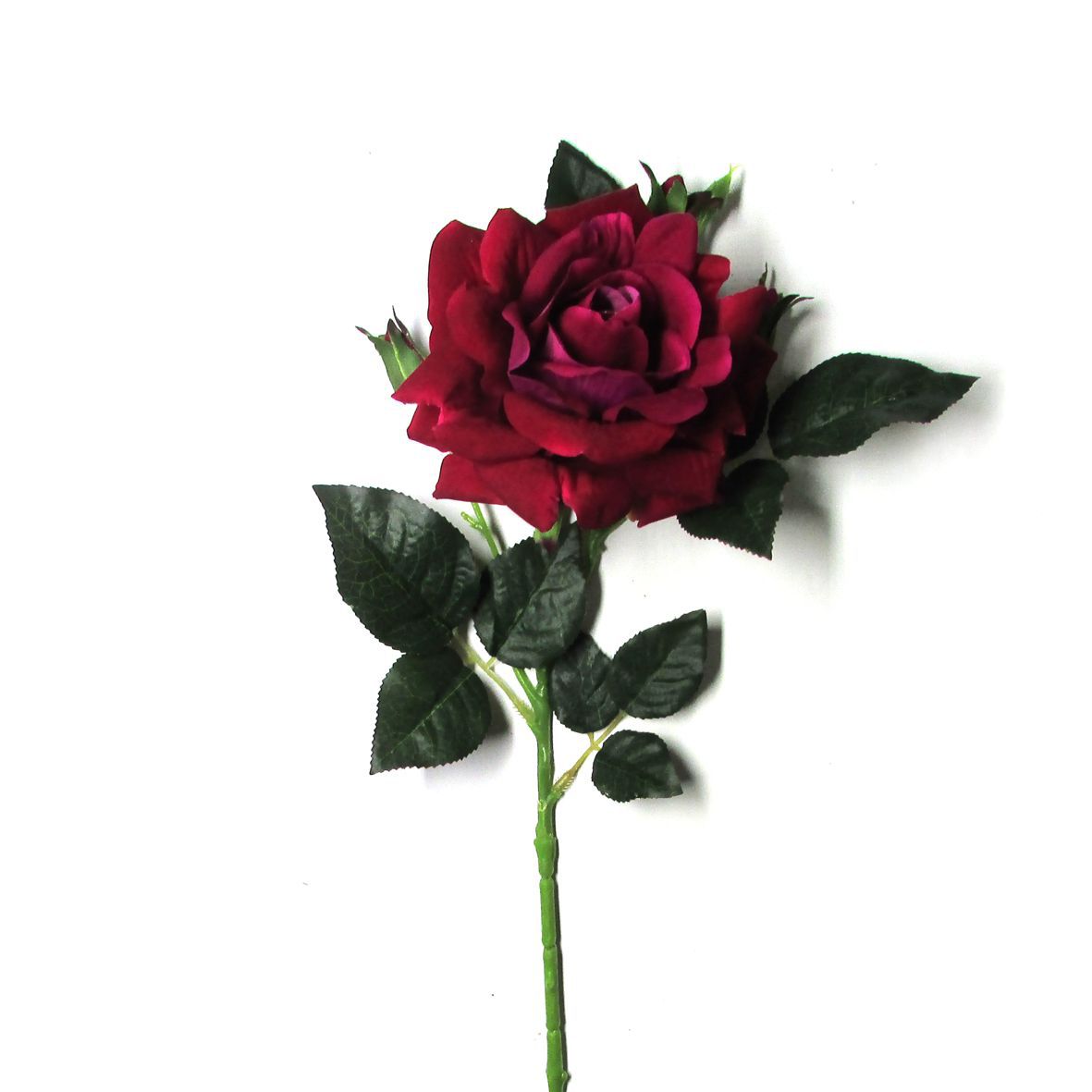 significado cor da flor