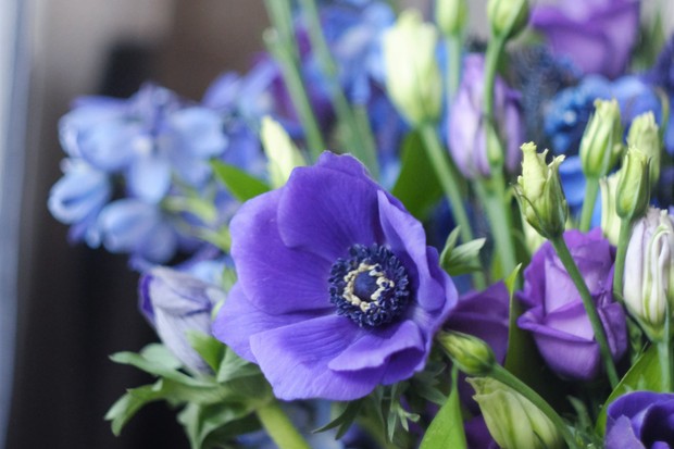 cores de flores para presentes