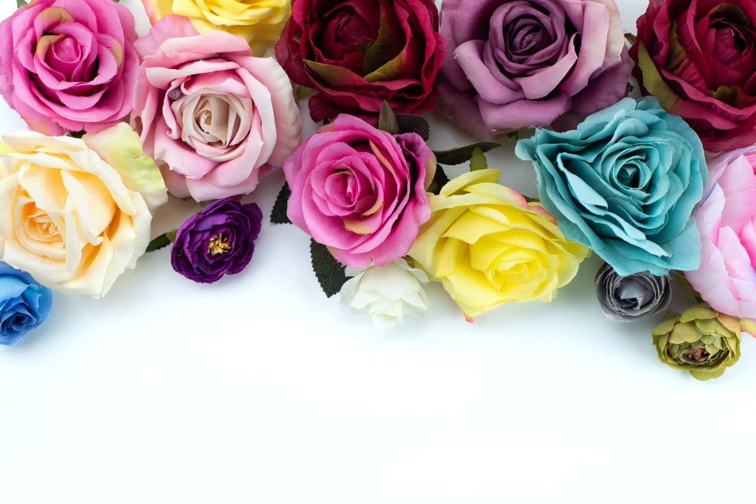 função da cor das flores