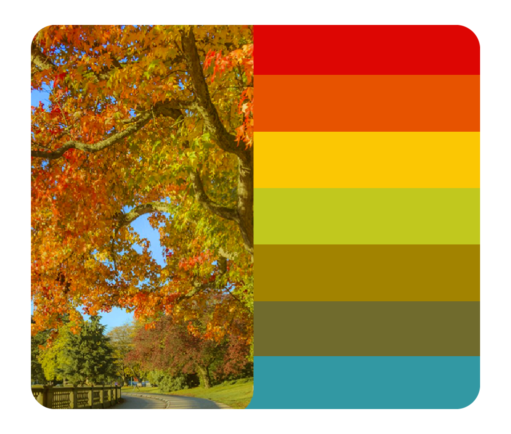 psicologia das cores