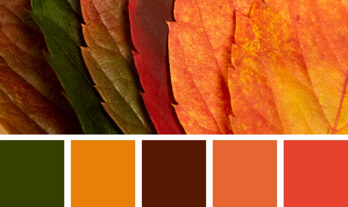 combinação de cores