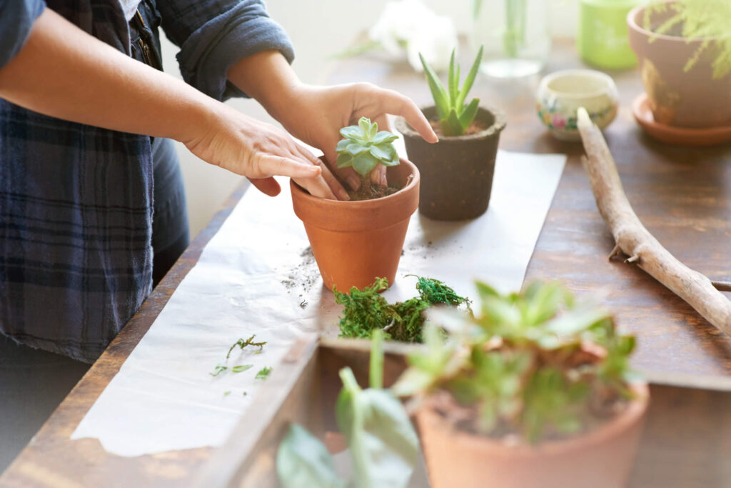 decoração boho com plantas