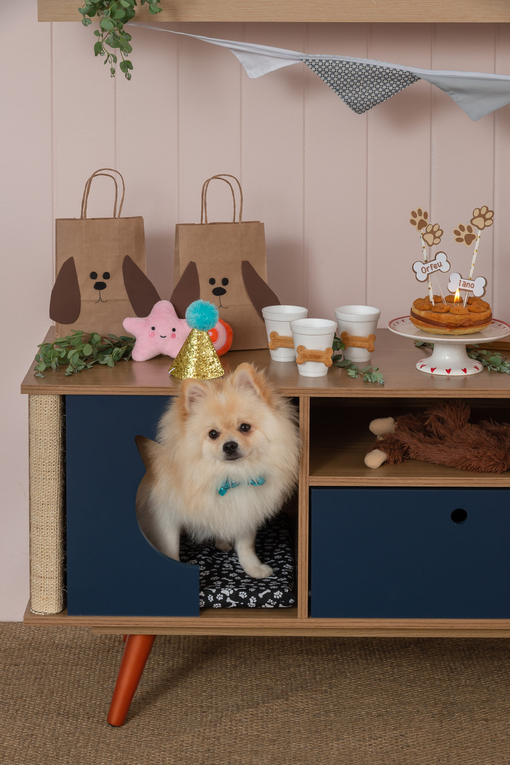 decoração festa pet infantil