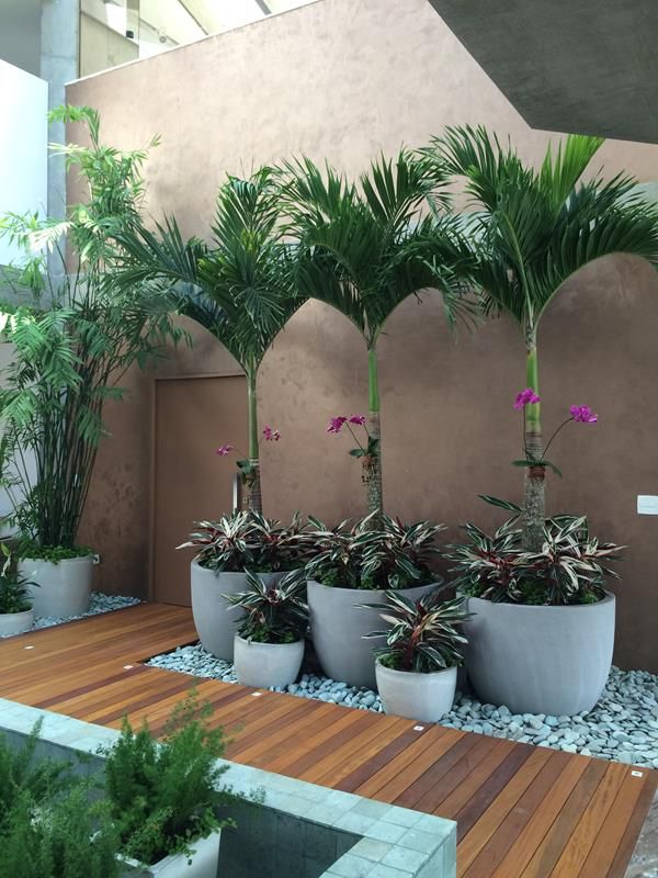 jardim de inverno externo