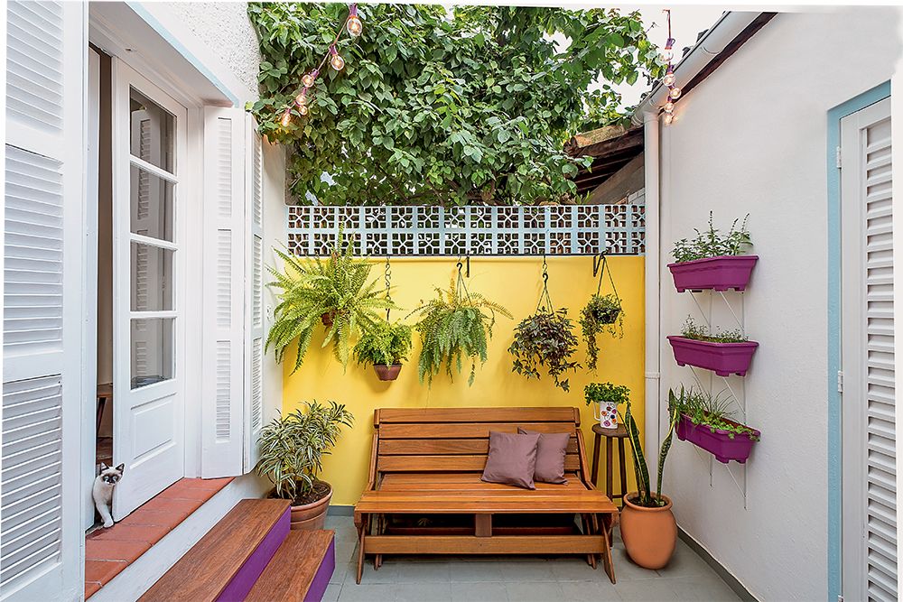 plantas para áreas externas com pouca luz