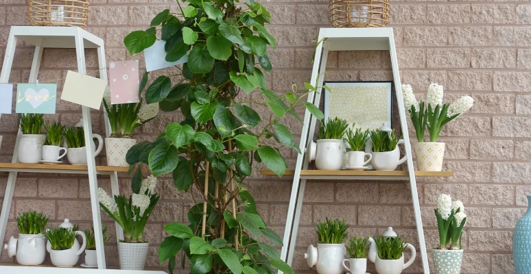 ideias de quintal com horta