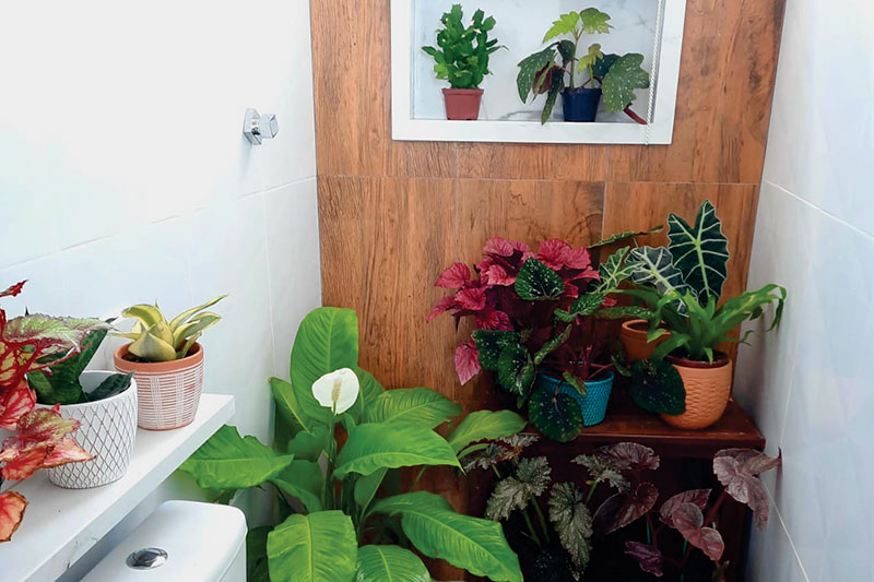 como criar um refúgio verde no quintal