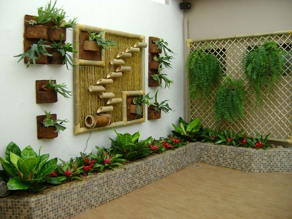 plantas para áreas externas com pouca luz