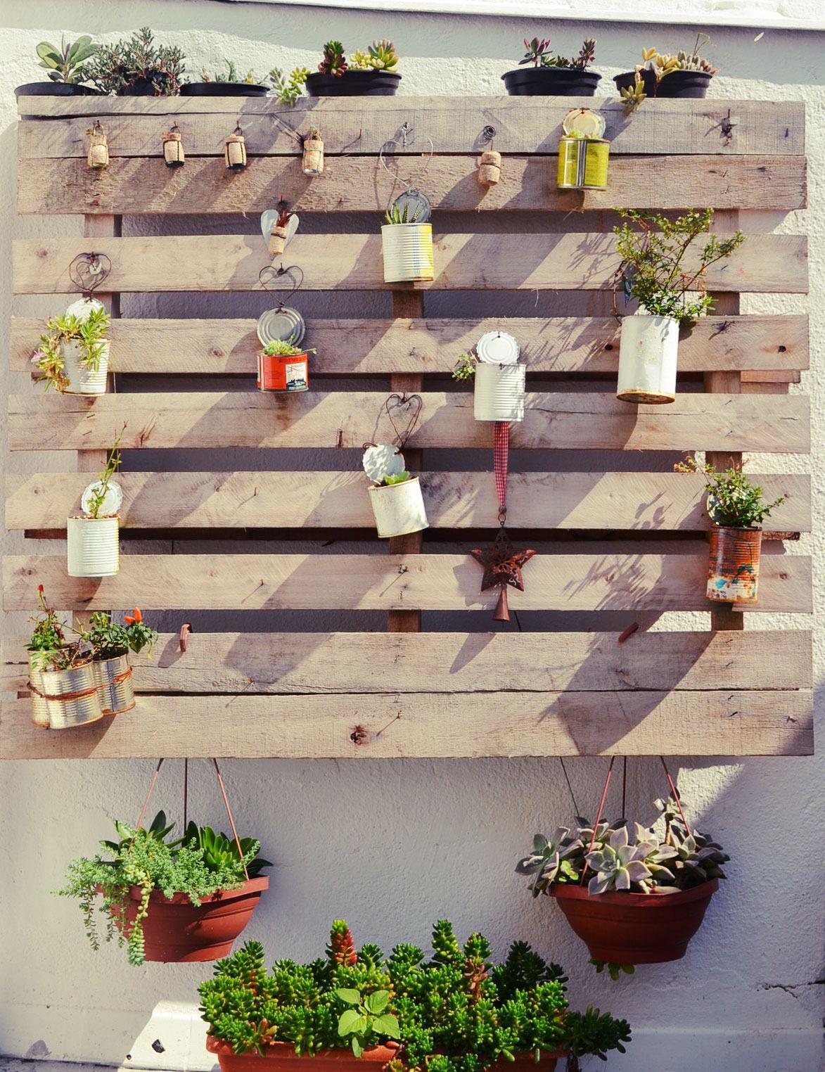 plantas para áreas externas com pouca luz