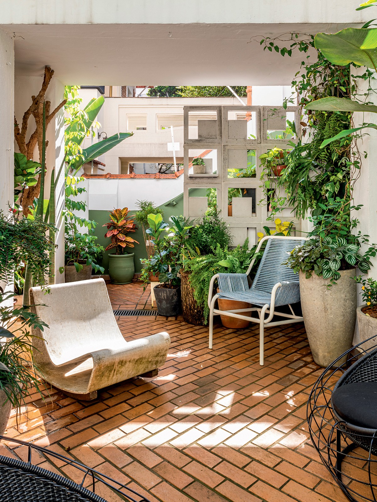 plantas fáceis de cuidar no quintal