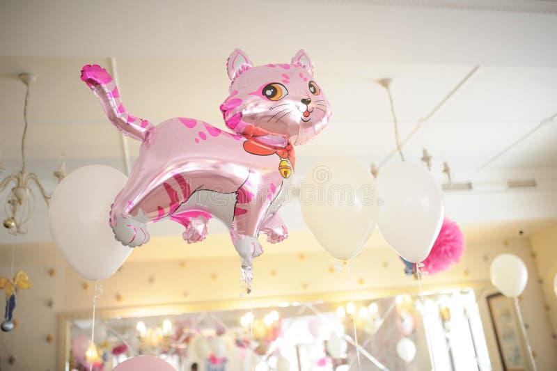 decoração sala tema gato