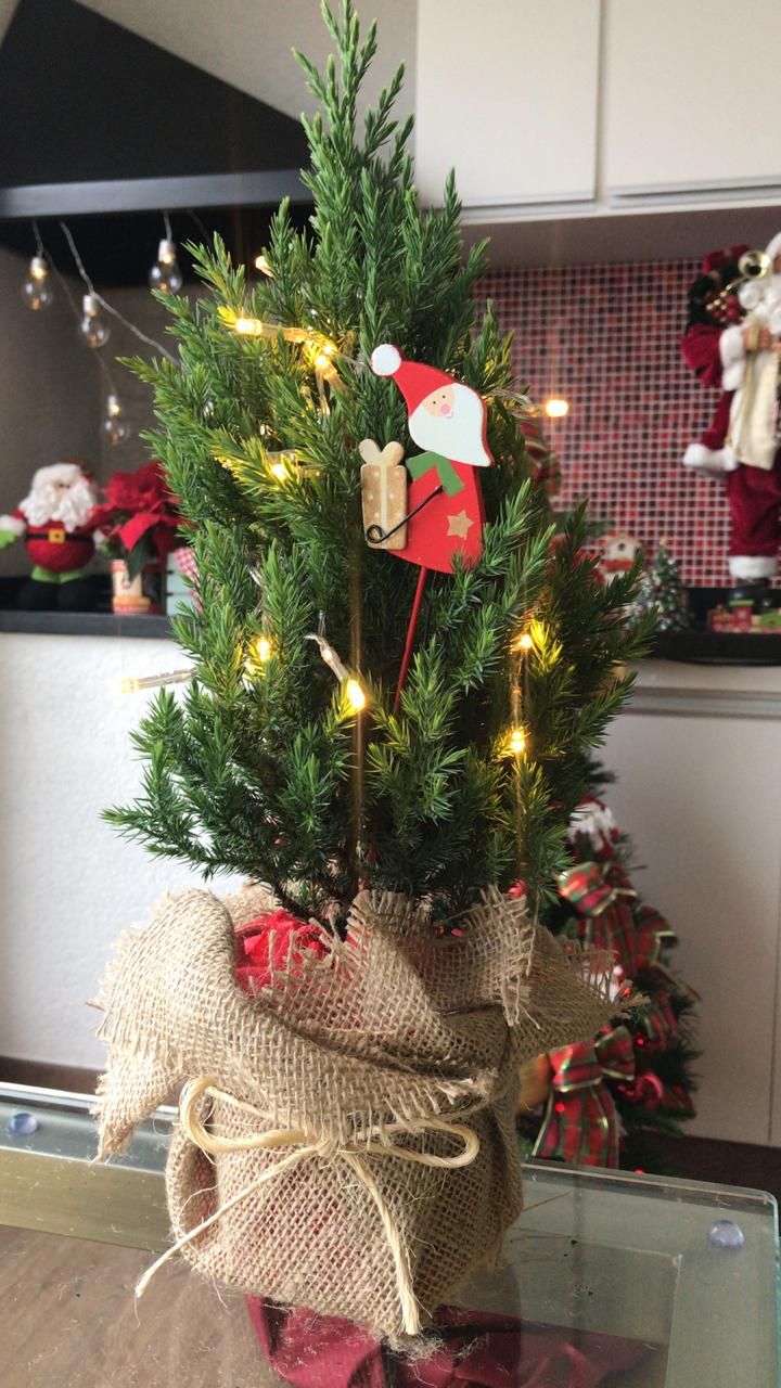 tendências decoração natal 2026 pinheiro natural