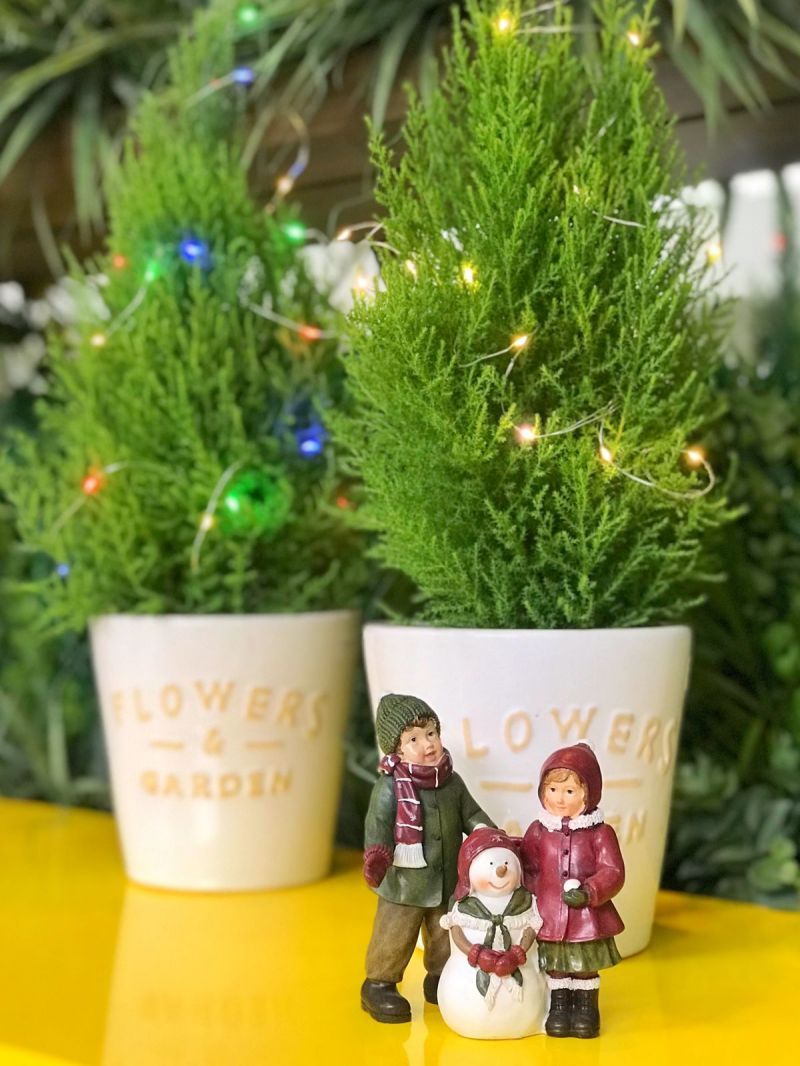 pinheiro de natal natural enfeites
