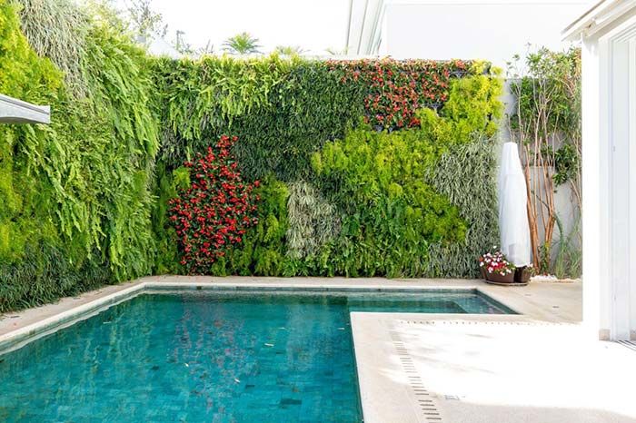 árvores para perto da piscina