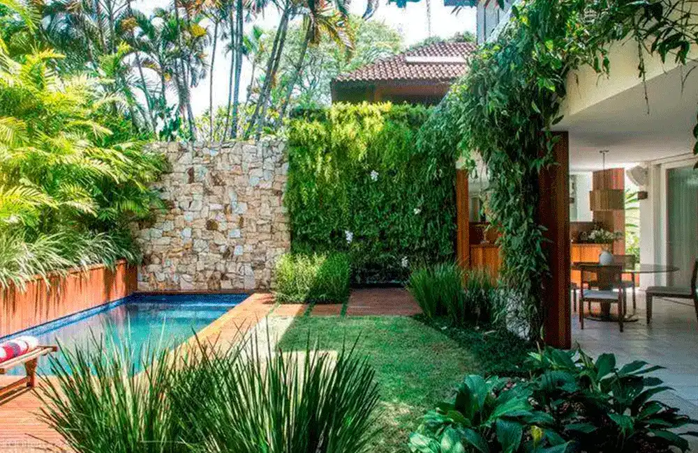 plantas resistentes ao sol