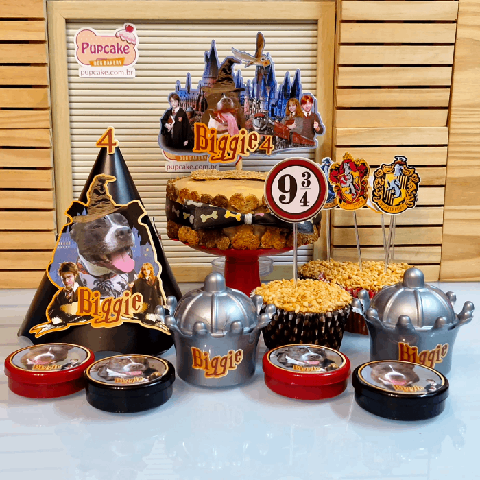 tema Harry Potter festa adulta