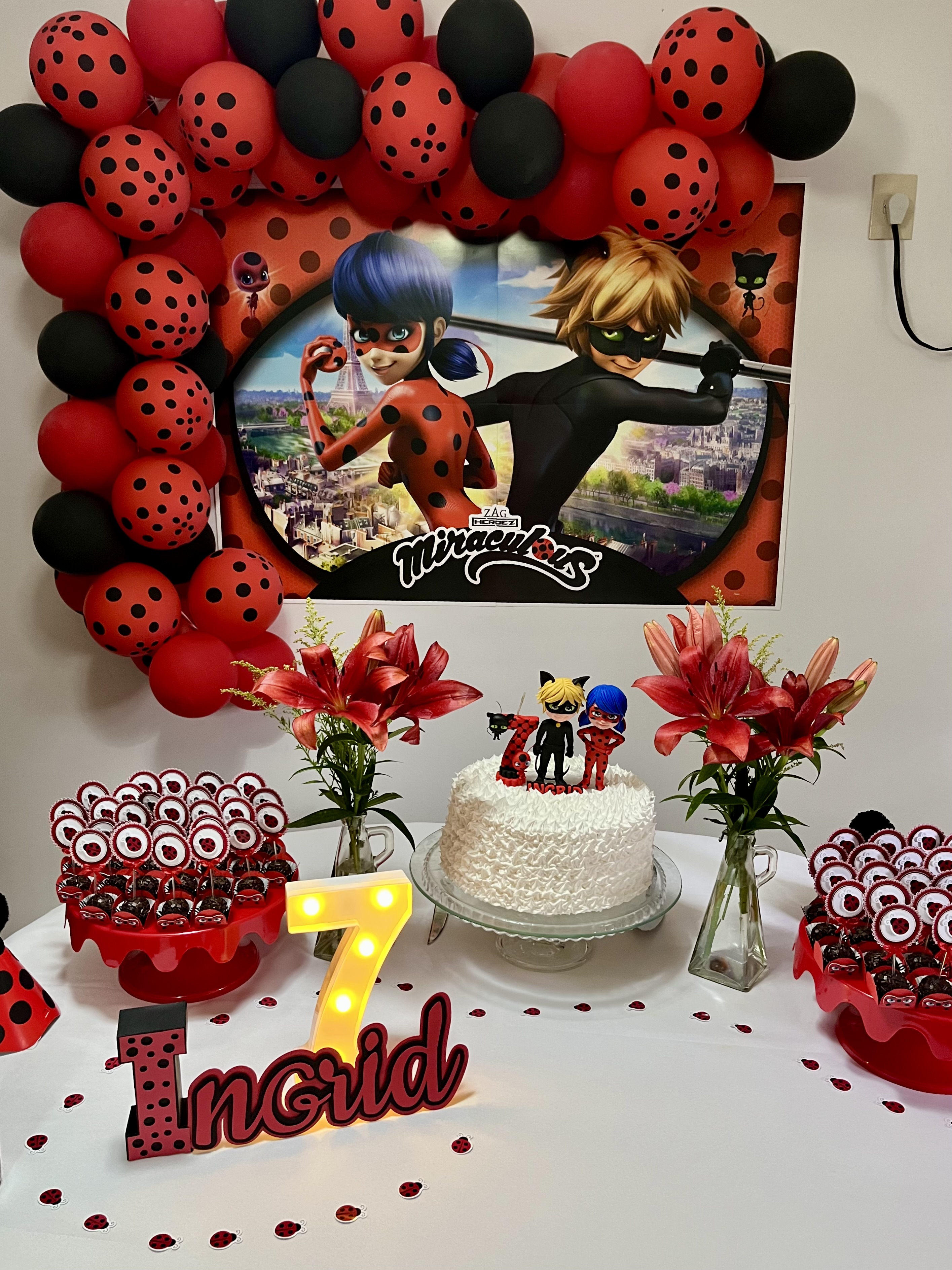 decoração festa infantil ladybug