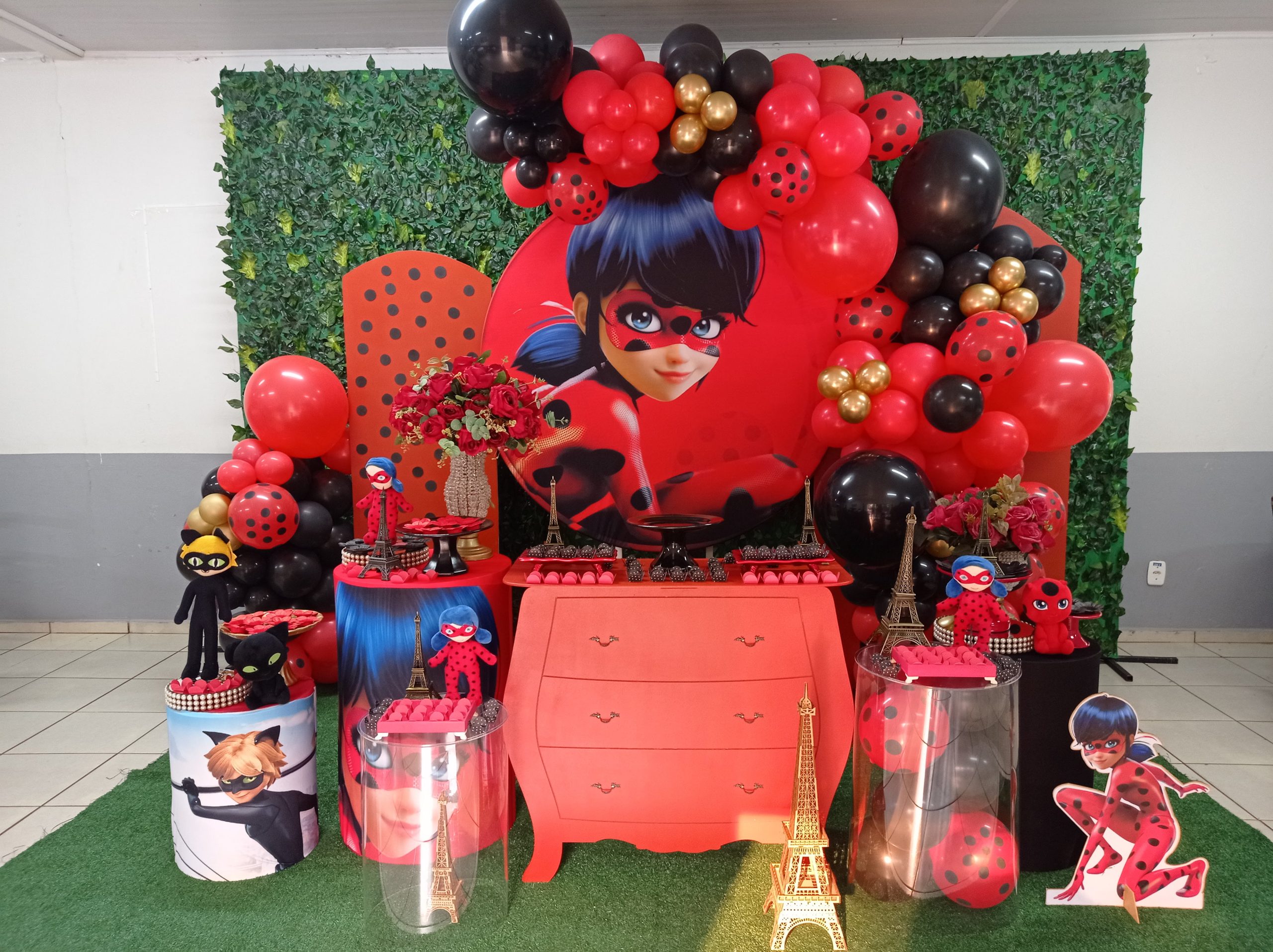 bolo ladybug