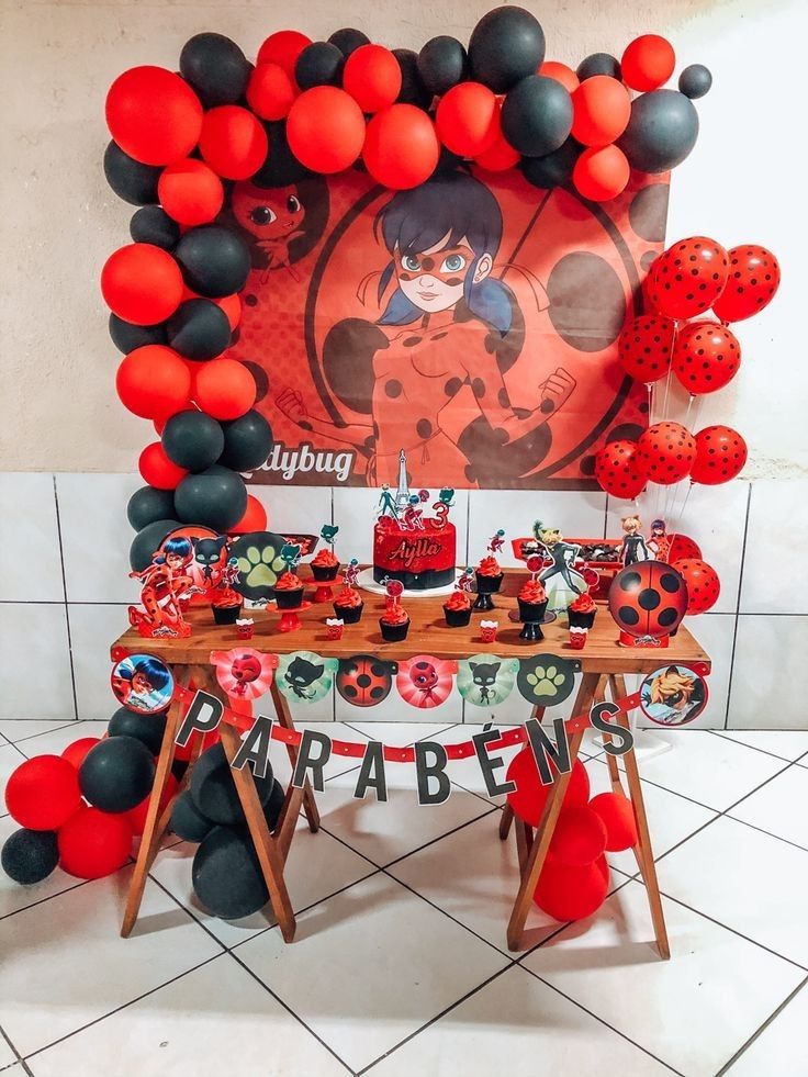 decoração ladybug e cat noir