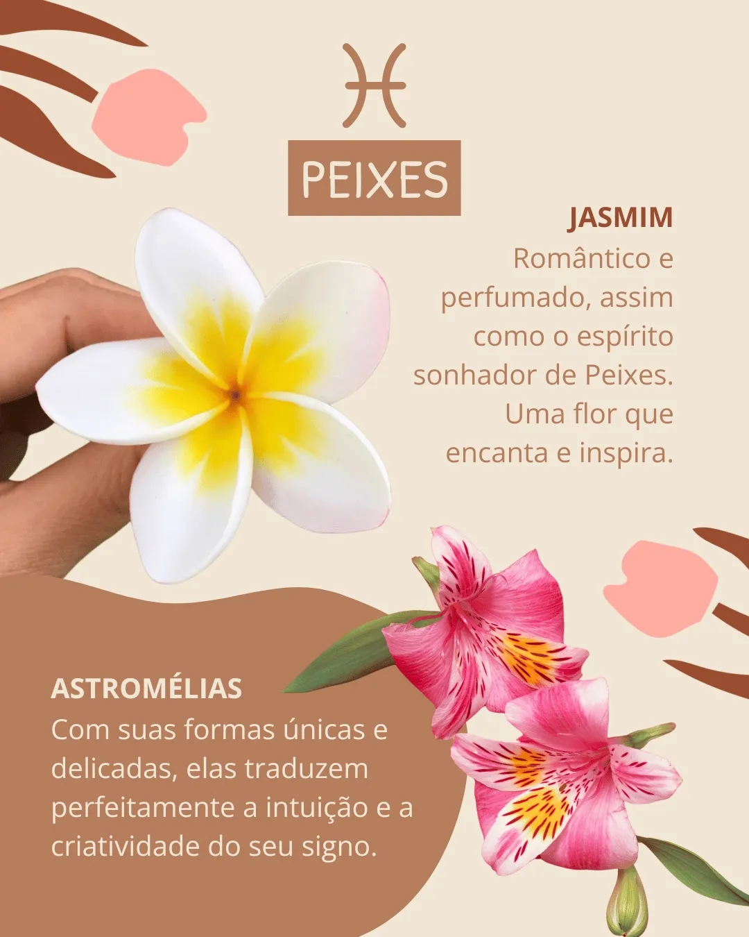 astrologia e flores