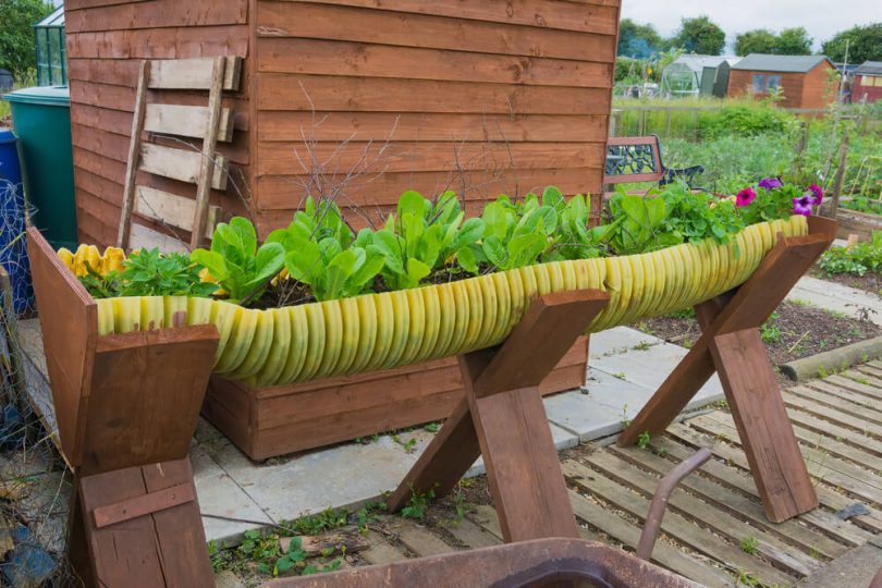 reciclagem criativa jardim
