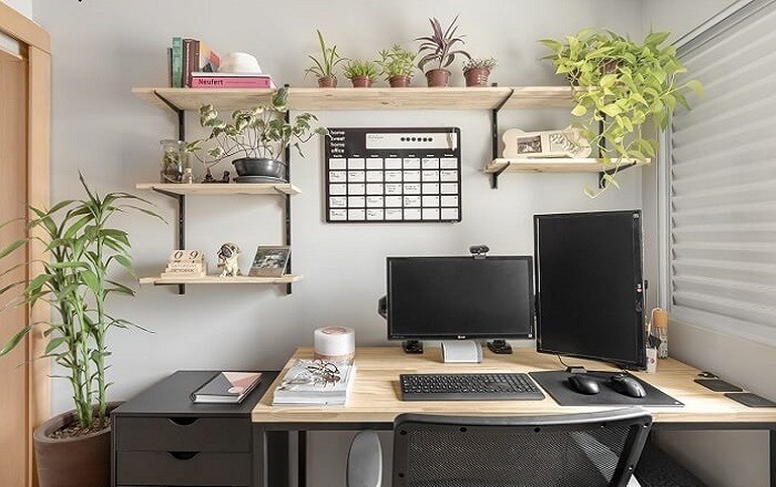 plantas para escritório