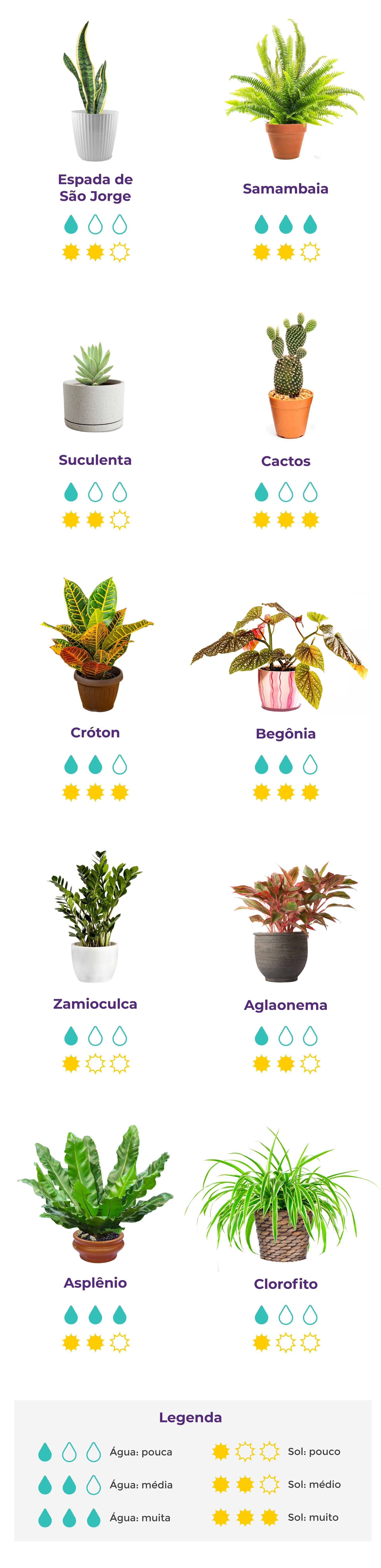 plantas para varanda com sol