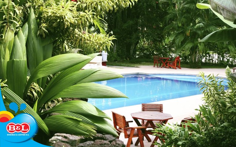 plantas para beira de piscina resistentes ao cloro