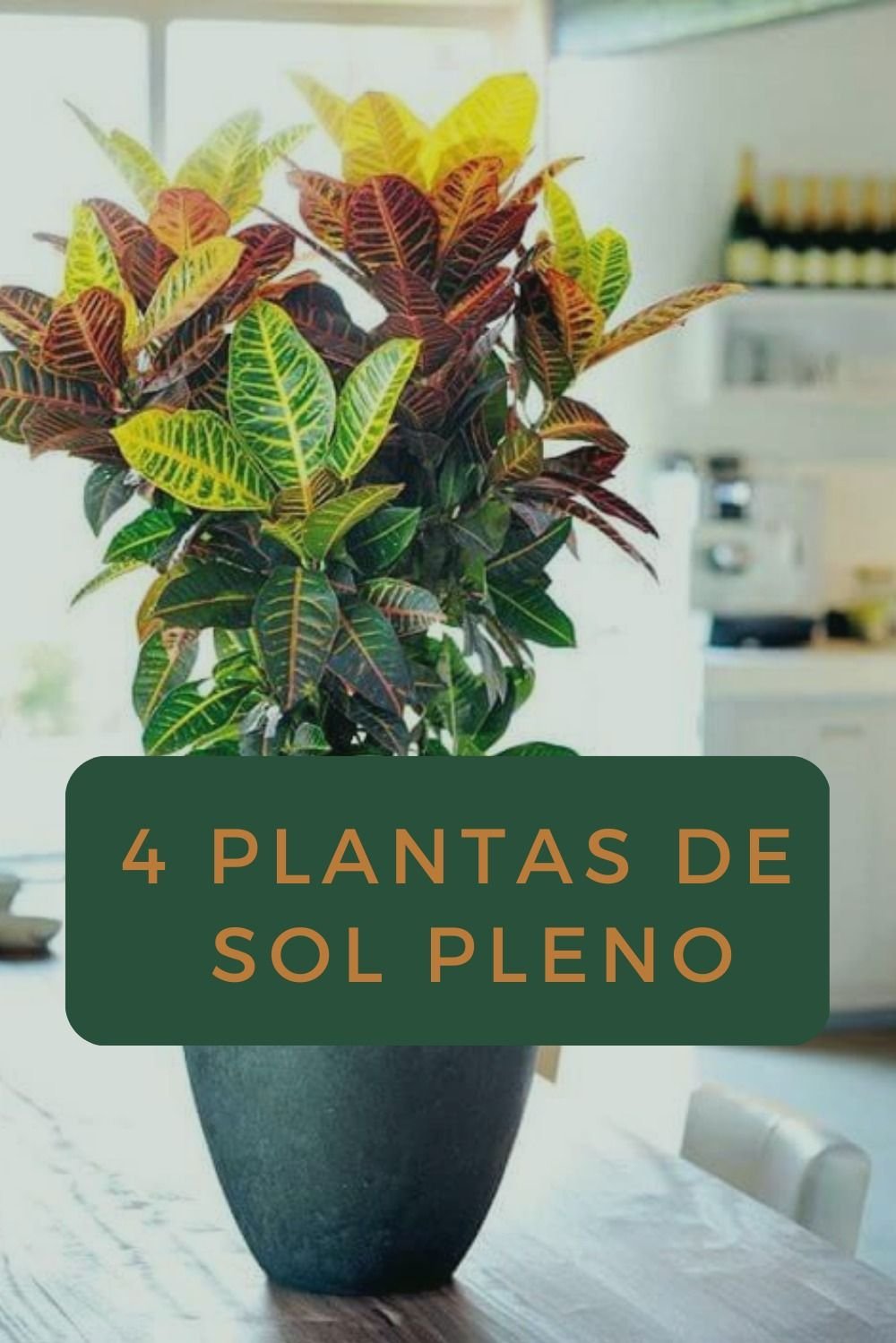paisagismo para áreas quentes