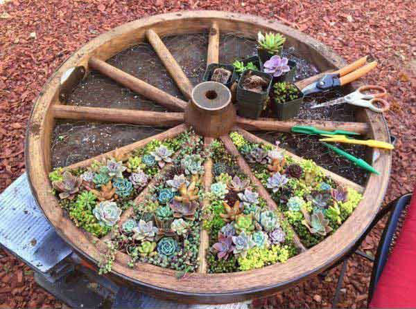 roda de madeira rústica
