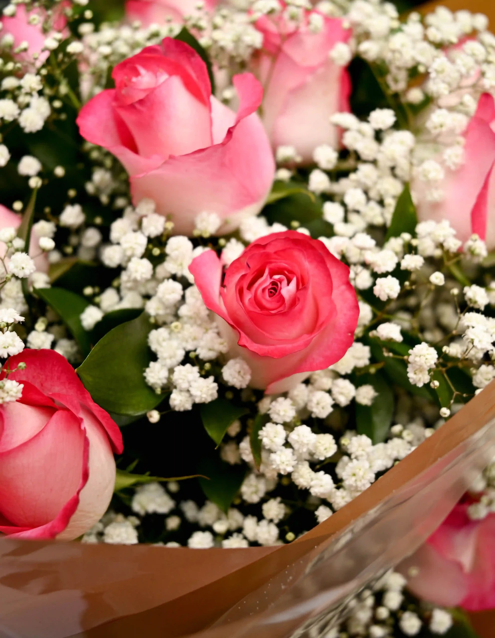rosas raras para jardim